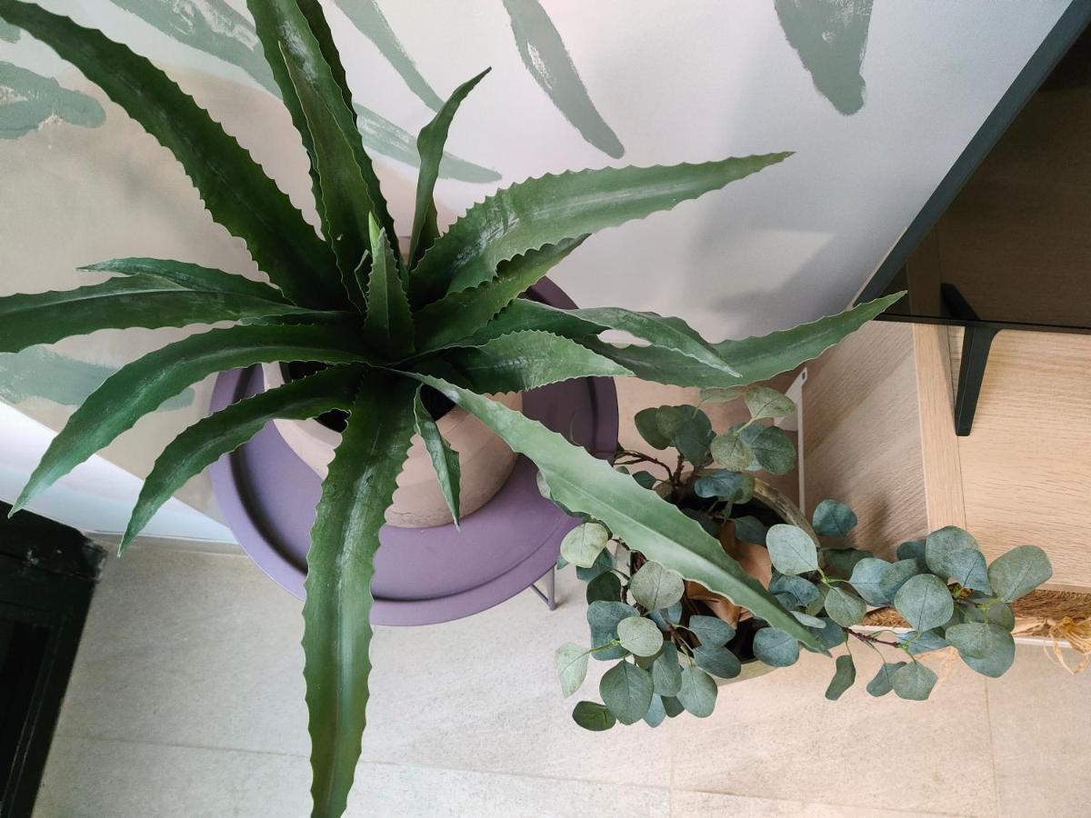 Hola Apartament Alicante Exteriér fotografie